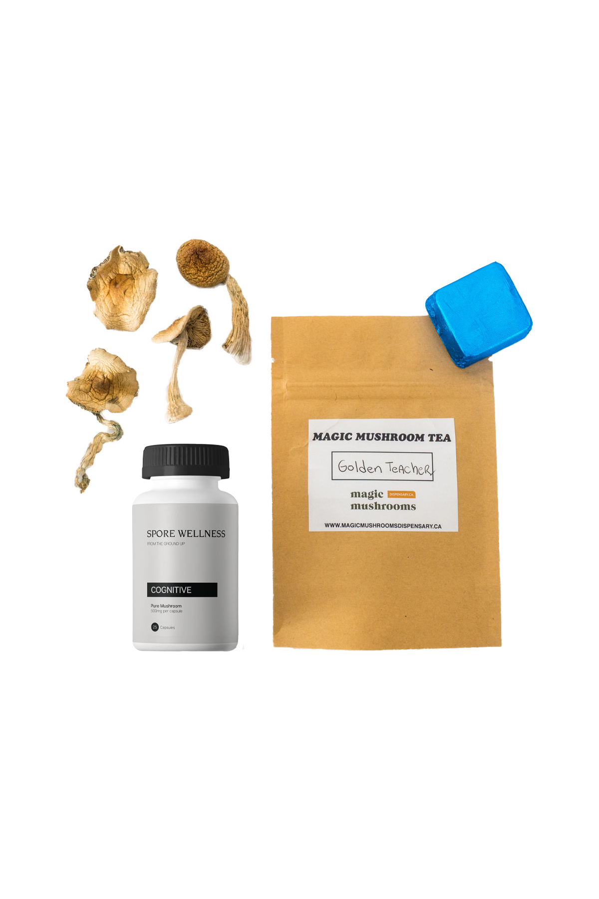 First-Timer-Magic-Mushroom-Kit-Psych-101-1.jpg