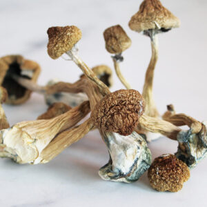 Shrooms for sale
